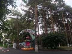 -黑龙江省森林植物园