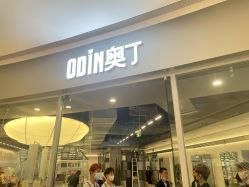 -ODIN 奥丁形象设计 