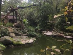 -南山植物园