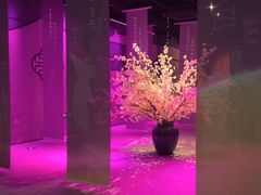 -金陵梦华·宫宴(南京首店)