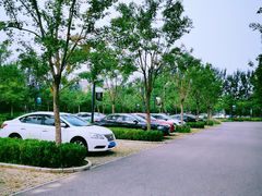 -东郊湿地公园