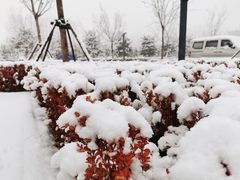 -东郊湿地公园