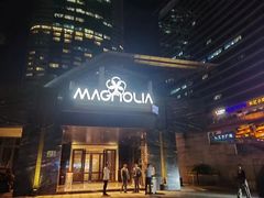 -MAGNOLIA商务·娱乐KTV(金玉兰店)