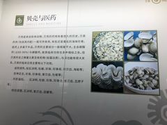 -贝壳王国博物馆