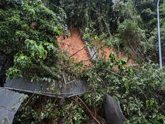 -梧桐山风景名胜区