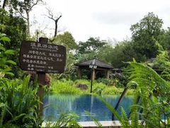 -龙山酒店温泉