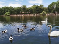 -石家庄市动物园