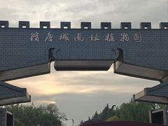 -洛阳市隋唐城遗址植物园