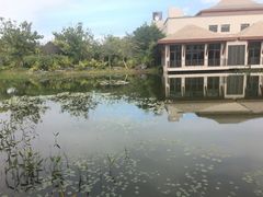 -广州从化都喜泰丽度假温泉酒店
