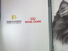 -瑞鹏宠物医院·微创内窥镜·骨外科·牙科(翠竹分院)