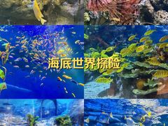 -欢乐海岸海洋奇梦馆