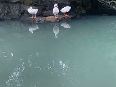 -兰亭风景区