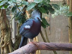 -清迈夜间动物园