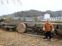 -千年银杏谷文化旅游区