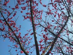 -桤木河湿地公园