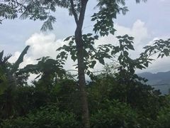 -七仙岭温泉国家森林公园