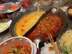 -朱光玉火锅馆(正弘城店)