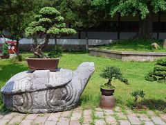 -苏州文庙(姑苏区)