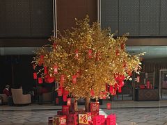 -上海嘉定喜来登酒店