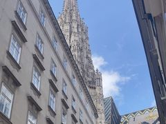 -斯蒂芬主教座堂(Stephansdom)
