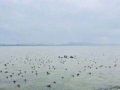 -深圳湾公园(南山区)