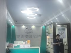 -博特宠物医院24h犬猫全科.骨科·异宠