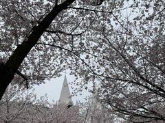 -团城山公园