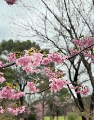 -INLIFE HAIR韩国美发