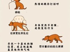 -必胜客(世欧广场店)