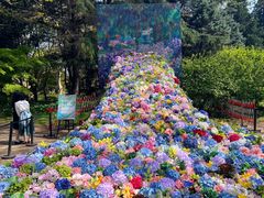 -上海共青森林公园