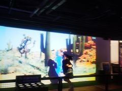 -VS SPORTS PARK运动玩乐园·团建·生日会(合生汇店)