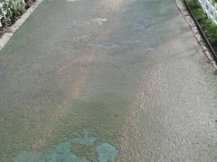 -在海一方公园