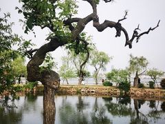 -无锡蠡湖国家湿地公园-蠡园