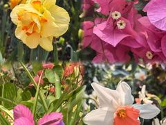 -上海辰山植物园
