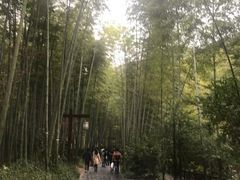 -天目湖御水温泉·度假酒店