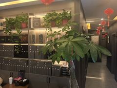 -鹿栖.精油SPA(金山世纪城店)