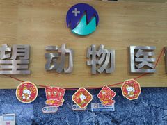 -瑞派名望志远动物医院·猫科·內科·异宠专科(直港大道店)