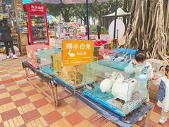 -东风公园