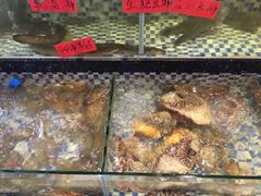 水产区-抱德·潮汕味(敦和店原惠城鱼仔)