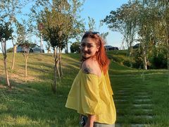 -合肥滨湖国家森林公园