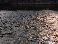 -酷鱼垂钓CLUB(朝阳区博大路店 )