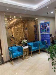 -碧莲盛·不剃发植发