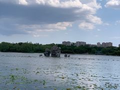 -大兴滨河森林公园