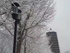 -玲珑塔公园