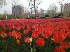 -廊坊文化艺术中心