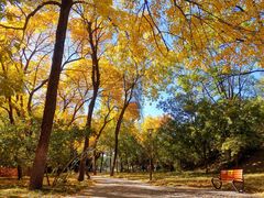 -元大都城垣遗址公园