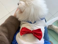 -怪兽屋·羊驼·猫咖·狗咖(俊华广场店)