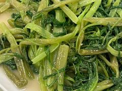 -姚林轩