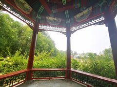 -北京麋鹿生态实验中心