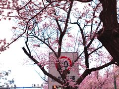 -吉林大学(南岭校区)